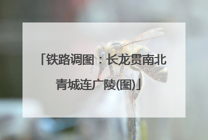铁路调图：长龙贯南北 青城连广陵(图)